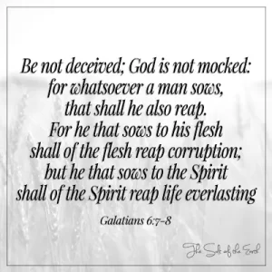 образ зерно поле библейский стих к галатам 6-7-8 не обманывайтесь, Бог не поругается за то, что посеет человек, то и пожнет