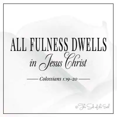 Название блога вся полнота обитает в Иисусе Христе Колоссянам 1-19-20