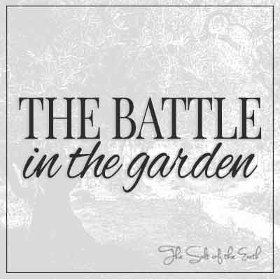 image tree garden and title article the battle in the garden