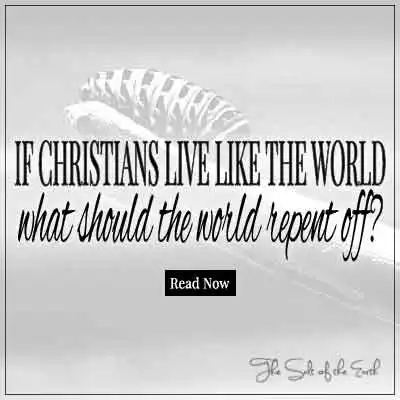 naslov članka Ako kršćani žive kao svijet od čega bi se svijet trebao pokajati?