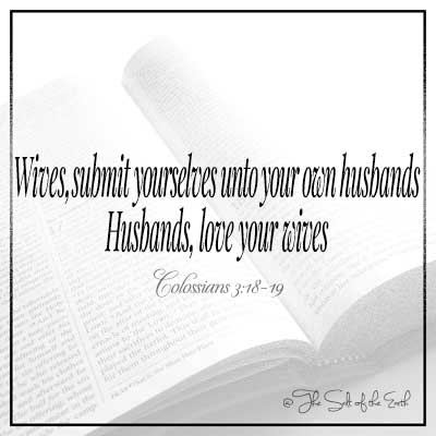 Изображение открыто Библия и Название статьи Жены подчиняются вашим мужьям, мужья любят своих жен Колоссоны 3-18-19