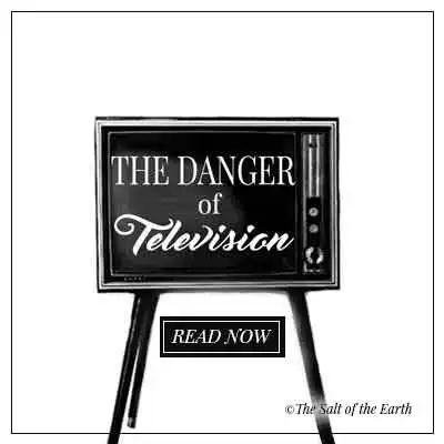 image tv and blog title text the danger of television