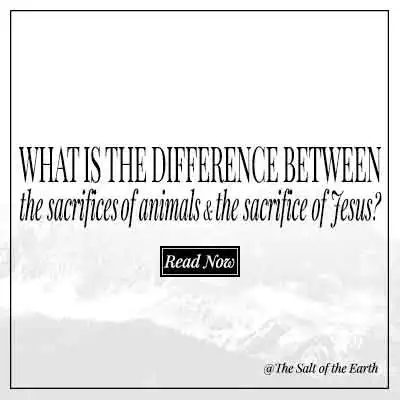 article text title what is the difference between the sacrifices of animals and the sacrifice of Jesus