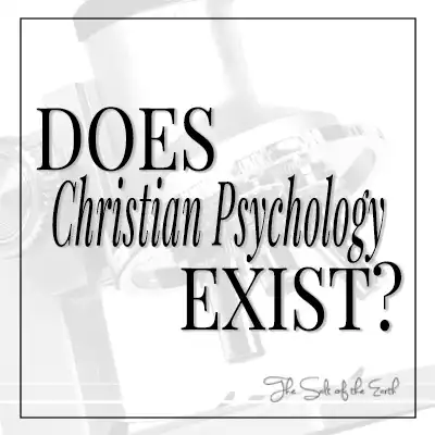 Название статьи существует христианская психология