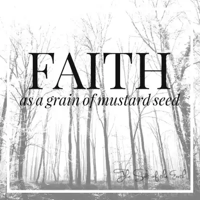 ब्लॉग शीर्षक सरसों के दाने के समान आस्था