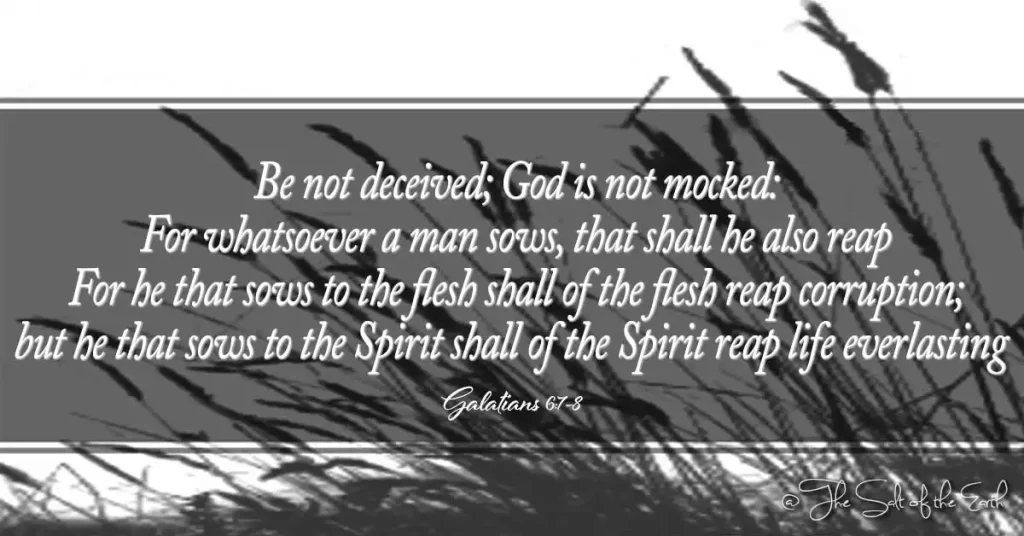 Библейские стихи к Галатам 6-7-8-не обманывайтесь. Бог не поругается за то, что посеет человек, то и пожнет он, ибо сеющий в плоть, от плоти пожнет тление, а сеющий в дух от духа пожнет жизнь вечную.