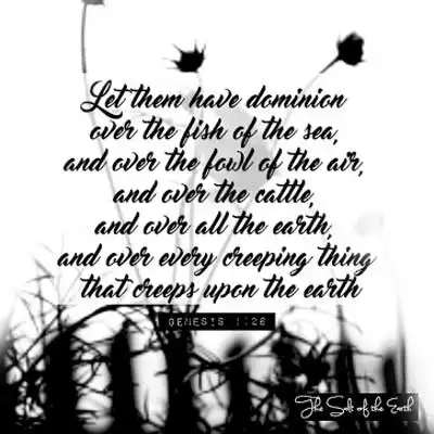 Бытие 1:26 Пусть они владычествуют над рыбами морскими, над птицами небесными