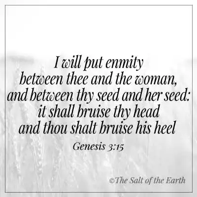 Bible verse genesis 3-15-i will put enmity between thee and woman and between thy seed and her seed it shall bruise thy head and thou shalt bruise his heel