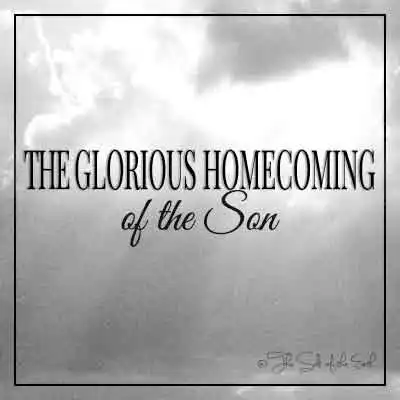 Название статьи Славное возвращение на родину Сына