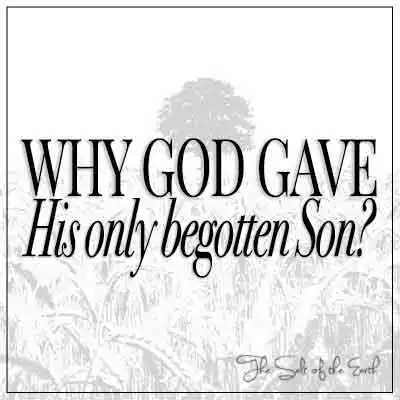 artikeltitel waarom God Sy eniggebore Seun Johannes gegee het 3:16