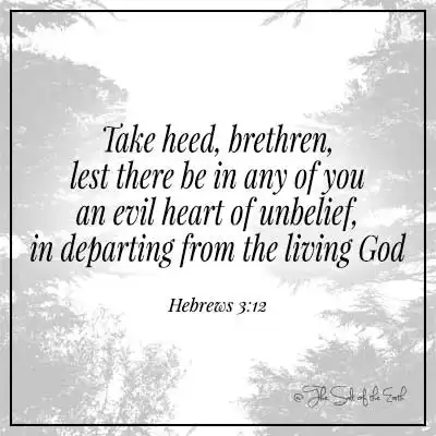 trees with bible verse hebrews 3-12 take heed brethren lest there be in any of you an evil heart of unbelief in departing from the living God
