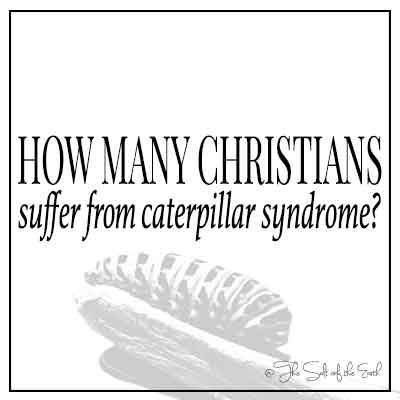 Caterpillar на изображение на названии ветви и статьи, сколько христиан страдают от синдрома гусеницы