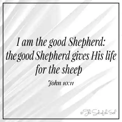 пальмовый лист и библейский отрывок Иоанна 10:11 Я добрый пастырь, добрый пастырь отдает свою жизнь за овец