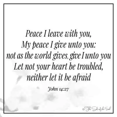 Библейский стих Джон 14-27 мир я оставляю тебе, мой мир я даю тебе: не так, как дает мир, даю Я тебе, да не смущается сердце твое и да не устрашается