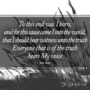 Библейское Писание Джон 17-37 С этой целью я родился, и по этому поводу пришло я в мир, который я должен свидетельствовать о правде, все, кто правда, слышит мой голос