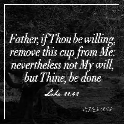 bibleverse luke 22-42 father if thou be willing remove this cup from me nevertheless not my will but thine be done
