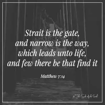 biblický verš Matěj 7-14 úžina je brána a úzká cesta, která vede k životu