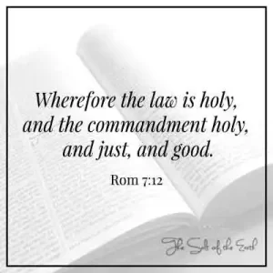 Библейское Священное Писание к Римлянам 7-12: Закон свят, и заповедь свята, праведна и добра.