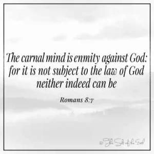 Библейский стих Римлянам 8-7-плотский разум-это вражда против Бога, потому что это не подлежит закону Божьему, ни один из них не может быть