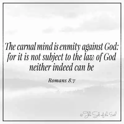 Библейский стих Римлянам 8-7-плотский разум-это вражда против Бога, потому что это не подлежит закону Божьему, ни один из них не может быть
