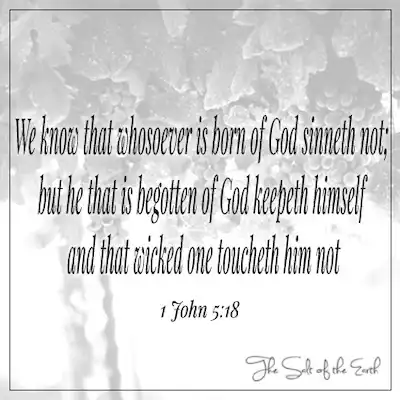 Библейское Писание 1 Джон 5:18 Мы знаем, что то, кто рожден от Бога, не грешнее, но тот, кто рожден от Бога, сохраняет себя, и что злой не трогает его