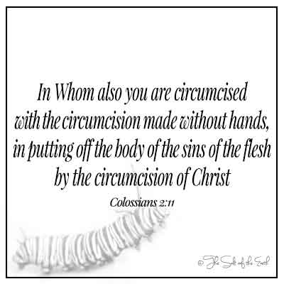 Изображение гусеницы и библейские стихи колосцы 2-11 в котором также вы обрезаны с обрезанием, сделанным без рук в положении тела грехов плоти обрезанием Христа