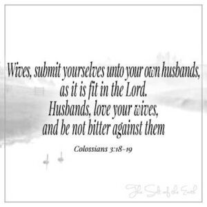Озеро Изображения и два утки и библейские стихи колосцы 3-18-19 Жены подчиняйтесь своим мужьям, так как это подходит для лорд -мужей, любящих своих жен и не будьте горькими против нее