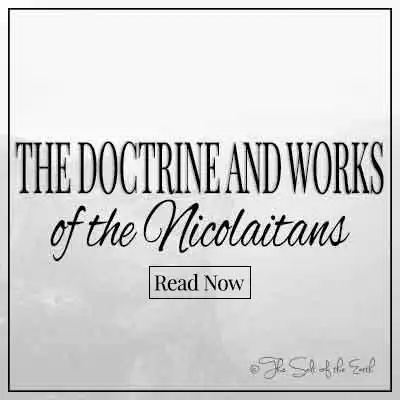 Текст заголовка статьи Учение и труды николаитов