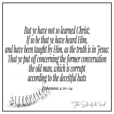 Bible verse ephesians 4:21-24 but ye have not so learned Christ if so be that ye have heard him and have been taught by him as the truth is in Jesus that ye put off concerning the former conversation the old man which is corrupt according to the deceitful lusts