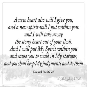 Библейский стих Иезекииля 36-26-27 сердце новое дам тебе, и дух новый вложу внутрь тебя, и возьму сердце каменное из плоти твоей, и дам тебе сердце плотяное, и вложу дух Мой внутрь тебя, и заставлю тебя ходить по уставам Моим, соблюдать суды Мои и исполнять их