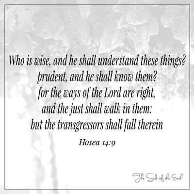 Осия 14:9 пути Господни правы, праведный пойдет по ним