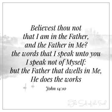 утки в озере и Библейском Священном Писании Джон 14:10 Верий, ты не в том, что я в Отце и Отец во мне слова, которые я говорю тебе, я говорю не о себе, а отец, который живет во мне, он делает дела.