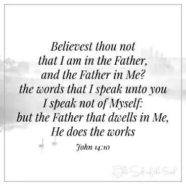 ducks in lake and bible scripture john 14:10 believest thou not that I am in the Father and the Father in me the words that I speak unto you I speak not of myself but the Father that dwells in me he does the works.