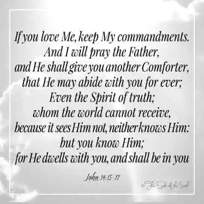 Библейский стих Иоанн 14-15-17-если бы ты любил меня, держи мои заповедь, и я буду молиться Отцу, и он даст тебе еще один утешитель, который он может соблюдать тебя навсегда, даже дух истины, которого мир не может получить, потому что он не видит его не знает его, но ты знаешь, что он живет с тобой и будет в тебе