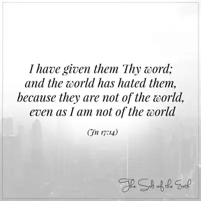 Библейский стих Джон 17:14 Я дал им твое слово, и Волд ненавидел их, потому что они не из мира, даже если я не из мира
