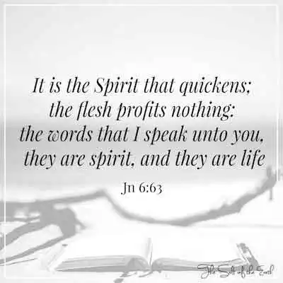 Джон 6:63 Это дух, который оживляет плоть, ничего не приносит пользы, слова, которые я говорю, суть дух и жизнь