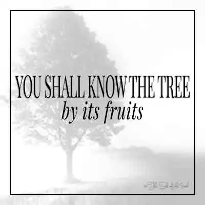 Название блога вы узнаете дерево по его фруктам
