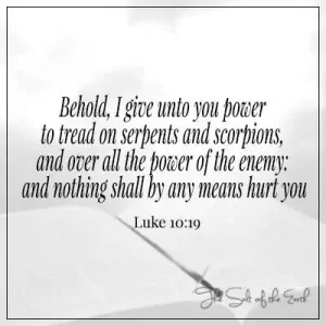 Библейский стих Люк 10-19 вот, я даю тебе силу наступать на змей и скорпионов и на всю силу врага, и ничто ни в коем случае не причинит тебе вреда