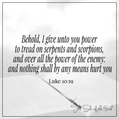 Библейский стих Люк 10-19 вот, я даю тебе силу наступать на змей и скорпионов и на всю силу врага, и ничто ни в коем случае не причинит тебе вреда