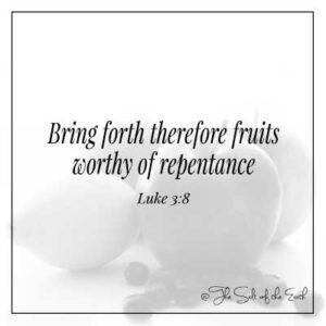 image fruits and bible verse luke 3-8 Поэтому фрукты достойны покаяния