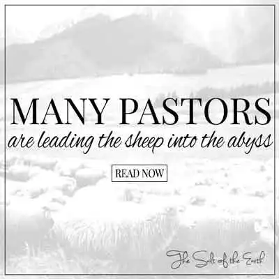 Текст заголовка статьи Многие пасторы ведут овец в пропасть