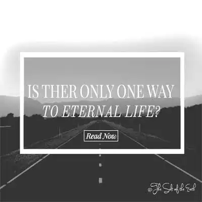 texte de l'article il n'y a qu'un seul chemin vers la vie éternelle