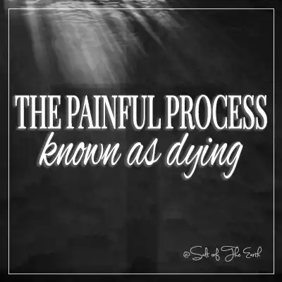 cross in water and article title the painful process known as dying