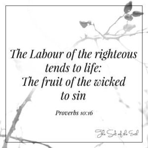 изображение ветки и библейские стихи пословицы 10-16 labour of the righteous tends to life the fruit of the wicked to sin