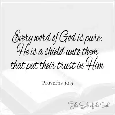 притчи-30-5-всякое слово Божие чисто. Он — щит для уповающих на Него.