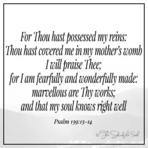 Библейский стих псалом 139-13-14 Ты обладал моими бразнутами, ты покрыл меня в утробе моей матери, я буду хвалить тебя за то, что я боясь и чудесно сделано чудесными твоими делами и что моя душа хорошо хорошо знает