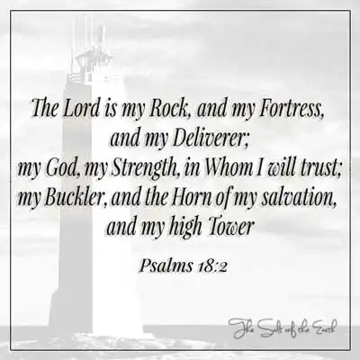 Псалмы 18:2 Господь — моя каменная крепость и мой Избавитель, мой Бог, моя сила, Которому я поверю свой щит и рог моего спасения и мою высокую башню.