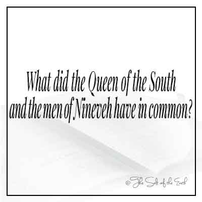 Изображение Библия и название статьи Что имело общее