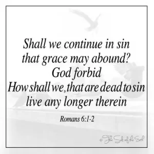 obraz ptáků a biblický verš římanů 6-1-2 budeme pokračovat v hříchu, aby se rozhojnila milost, nedej bože, jak v něm budeme mrtví hříchu dále žít