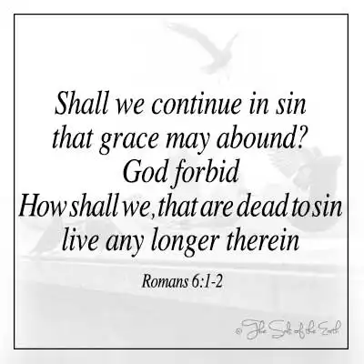 Изображения птиц и библейские стихи к Римлянам 6-1-2 Если мы будем пребывать во грехе, дабы умножилась благодать, не дай Бог, как мы, умершие для греха, будем жить в ней?